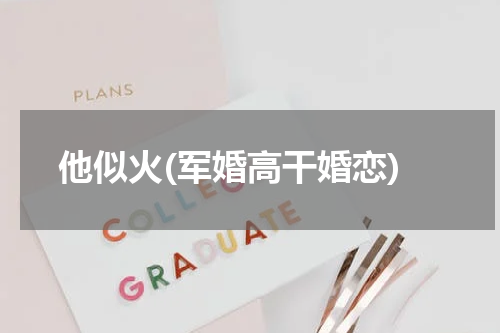 他似火(军婚高干婚恋)