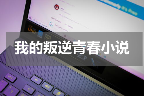 我的叛逆青春小说