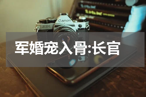 军婚宠入骨:长官