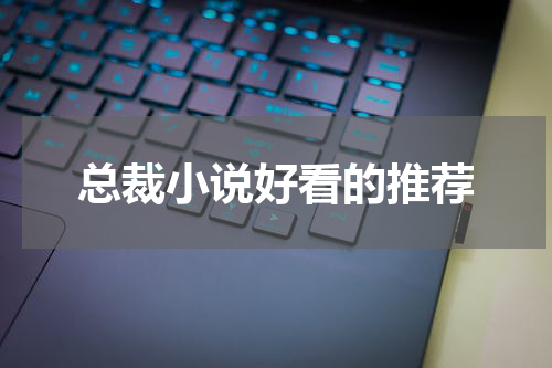 总裁小说好看的推荐