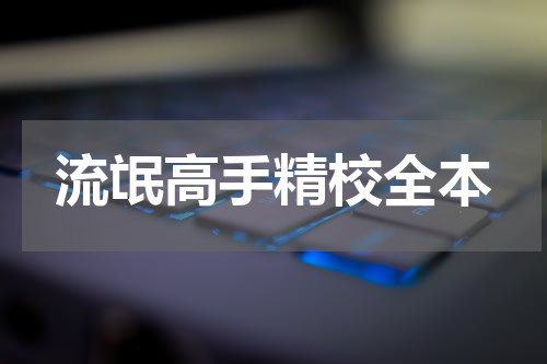 流氓高手精校全本