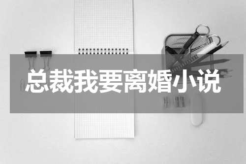 总裁我要离婚小说