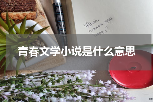 青春文学小说是什么意思