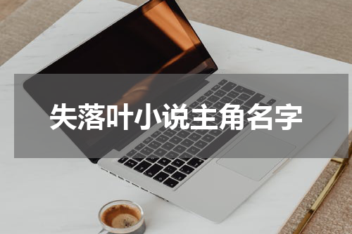失落叶小说主角名字