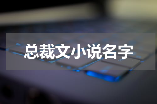 总裁文小说名字