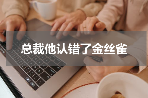 总裁他认错了金丝雀
