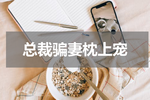 总裁骗妻枕上宠