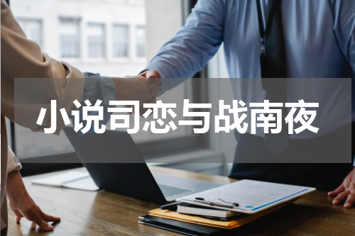 小说司恋与战南夜