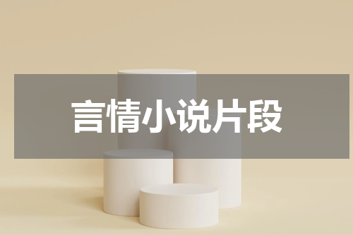 言情小说片段