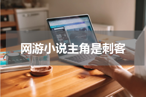 网游小说主角是刺客