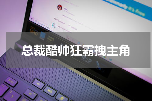 总裁酷帅狂霸拽主角