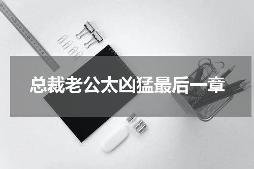 总裁老公太凶猛最后一章