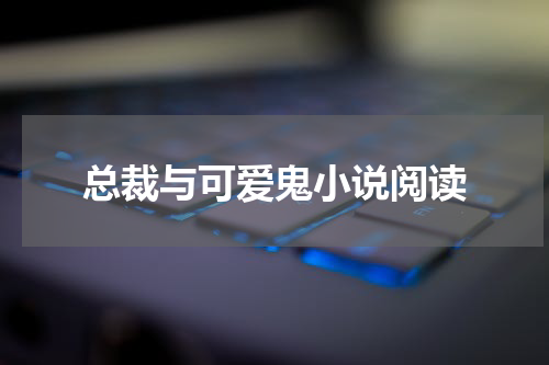 总裁与可爱鬼小说阅读