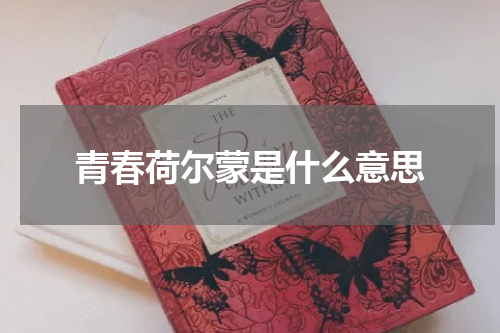 青春荷尔蒙是什么意思