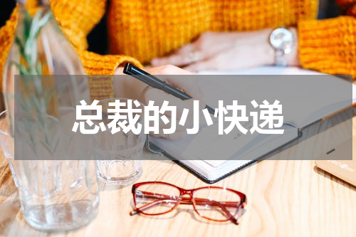 总裁的小快递