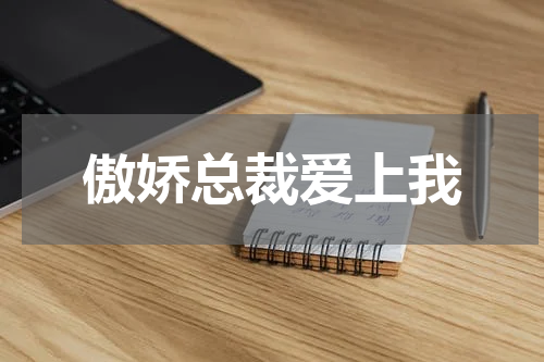 傲娇总裁爱上我