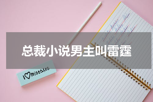 总裁小说男主叫雷霆
