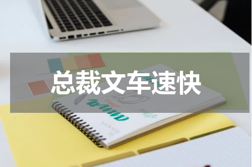 总裁文车速快