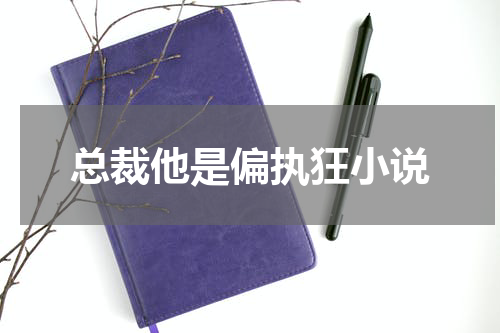 总裁他是偏执狂小说