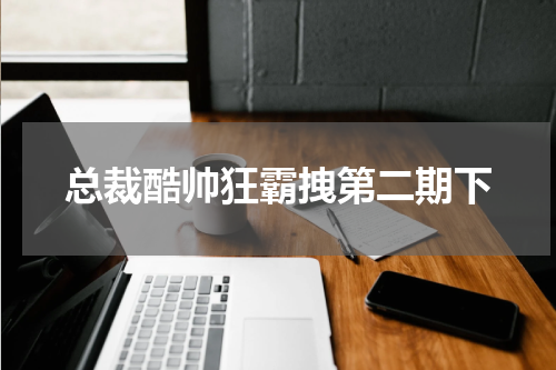 总裁酷帅狂霸拽第二期下