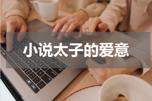 小说太子的爱意