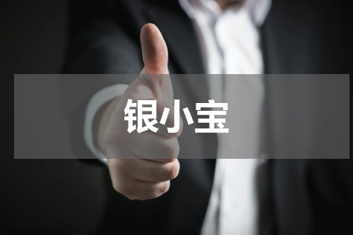 银小宝