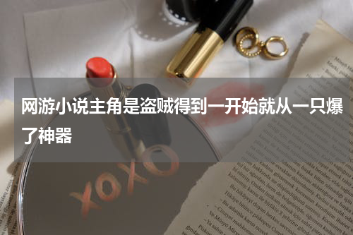 网游小说主角是盗贼得到一开始就从一只爆了神器