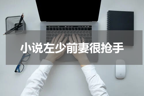 小说左少前妻很抢手