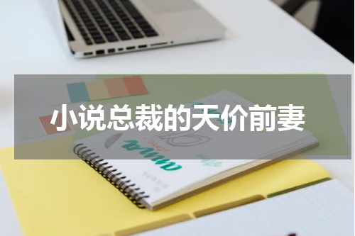 小说总裁的天价前妻