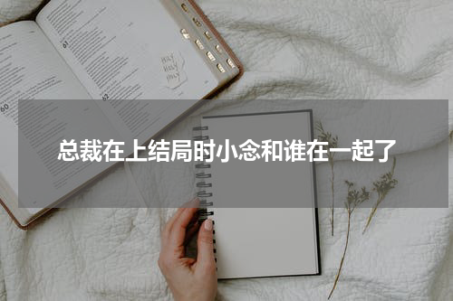 总裁在上结局时小念和谁在一起了