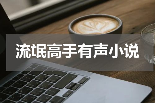 流氓高手有声小说