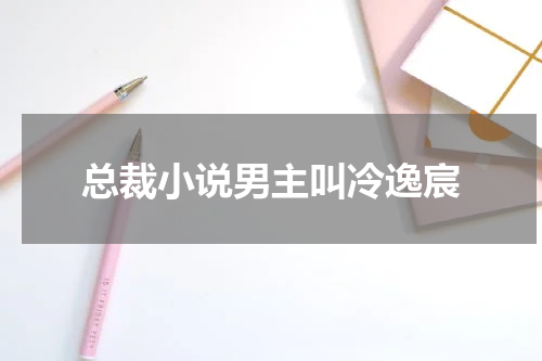 总裁小说男主叫冷逸宸