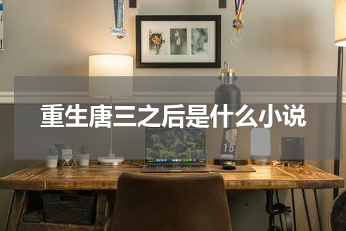 重生唐三之后是什么小说