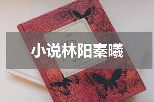 小说林阳秦曦