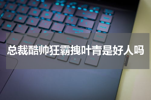总裁酷帅狂霸拽叶青是好人吗