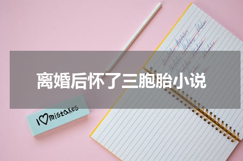 离婚后怀了三胞胎小说
