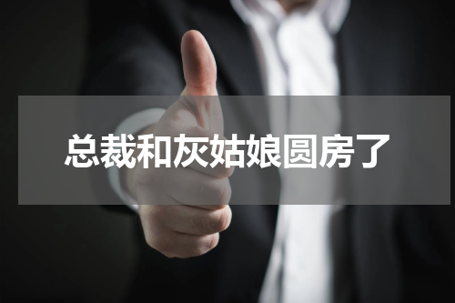 总裁和灰姑娘圆房了