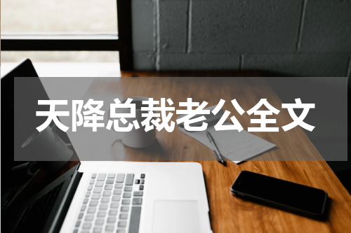 天降总裁老公全文