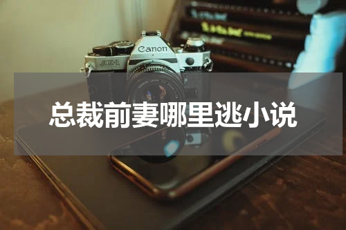 总裁前妻哪里逃小说