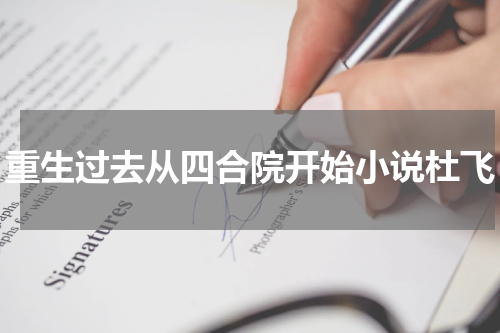 重生过去从四合院开始小说杜飞