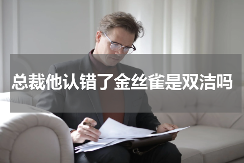 总裁他认错了金丝雀是双洁吗
