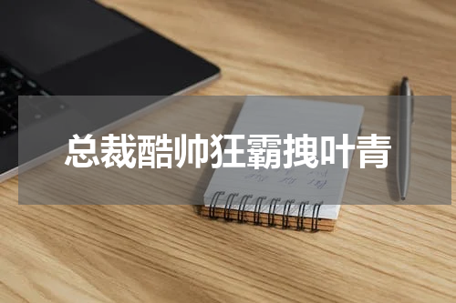 总裁酷帅狂霸拽叶青