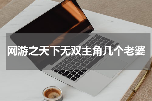 网游之天下无双主角几个老婆