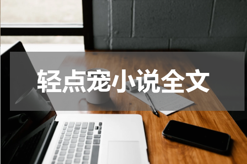 轻点宠小说全文