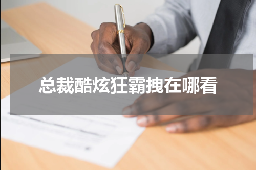 总裁酷炫狂霸拽在哪看