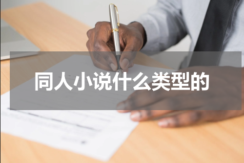 同人小说什么类型的