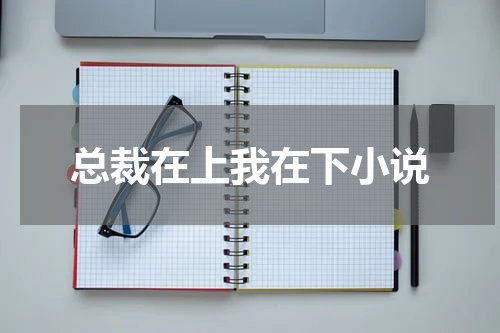 总裁在上我在下小说