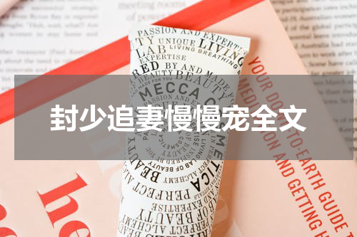 封少追妻慢慢宠全文