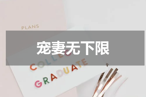 宠妻无下限