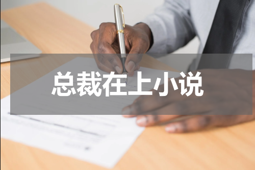 总裁在上小说